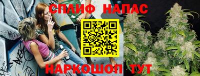 МДПВ Канаш